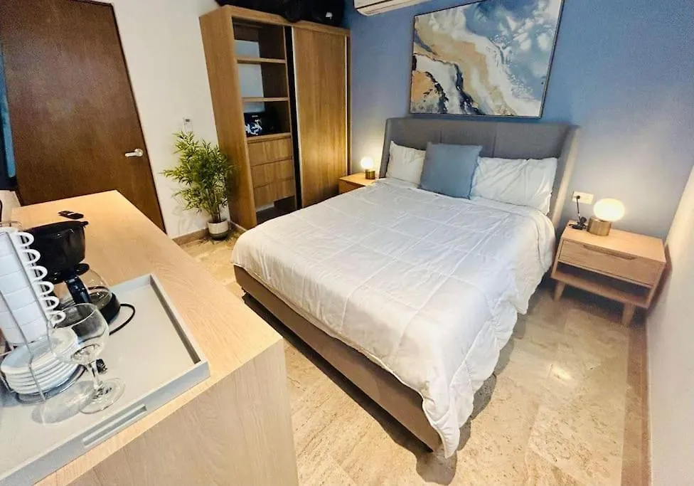 Ipana A402 Sea Style 2 Bedrooms Condo High Floor プレヤデルカーメン